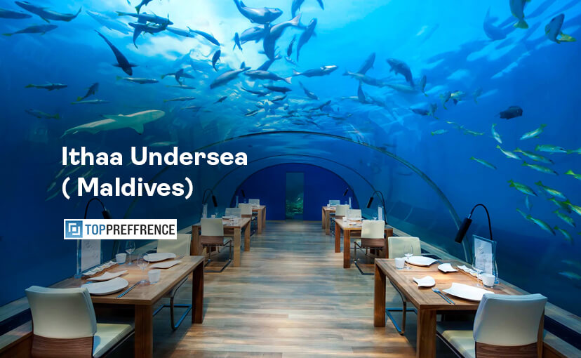 Ithaa Undersea ( Maldives)