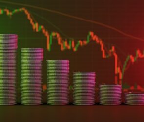 Bitcoin Investors