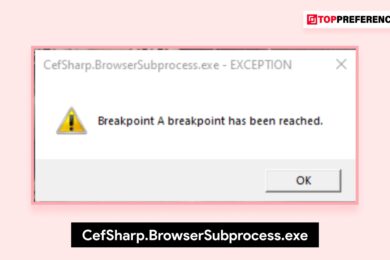 CefSharp.BrowserSubprocess.exe