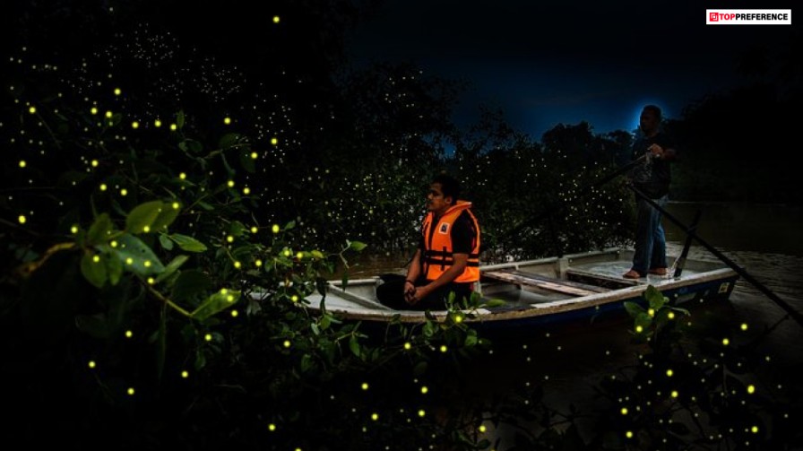 kuala-selangor-kuala-lumpur-malaysia-for-catching-fireflies