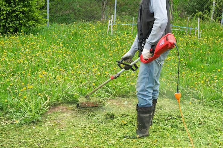 Landscaping Company