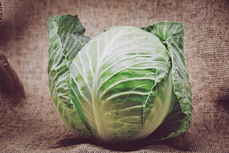 Green Cabbage