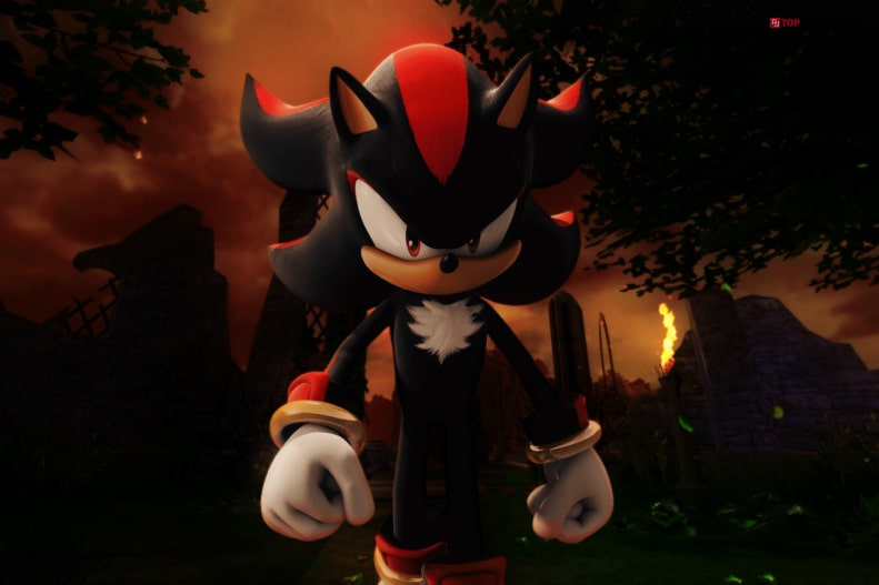 Facts About Sonic's Shadow The Hedgehog That You Should Know