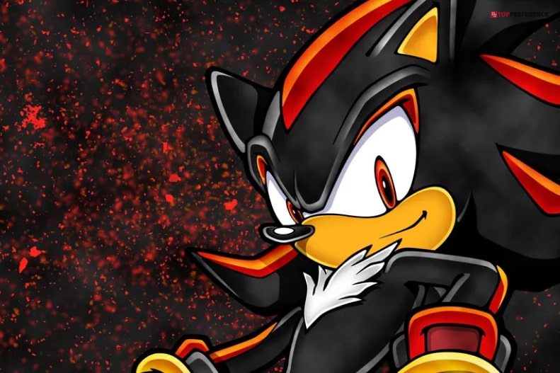 Personality Of Shadow The Hedgehog  