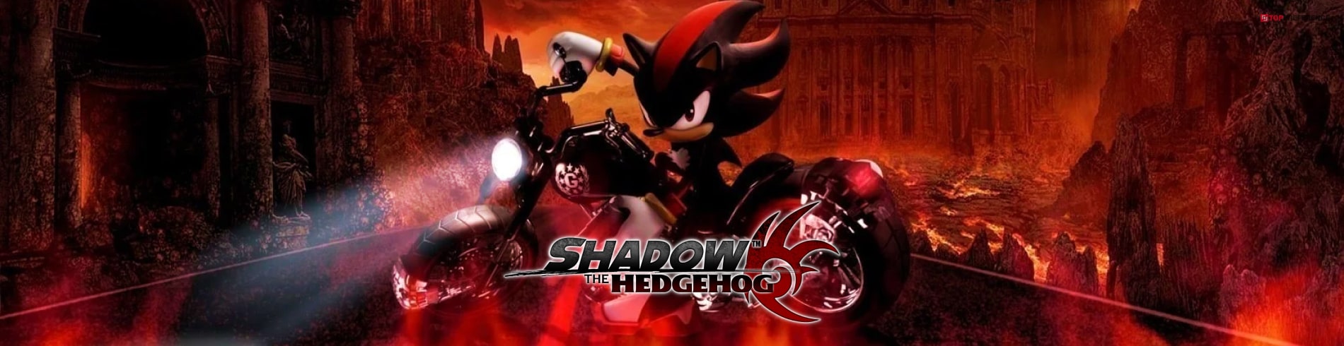 shadow the hedgehog