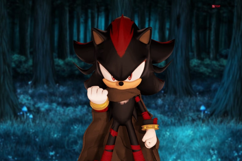 Who Is Shadow The Hedgehog 