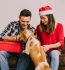 Gift Ideas for Pet Owners