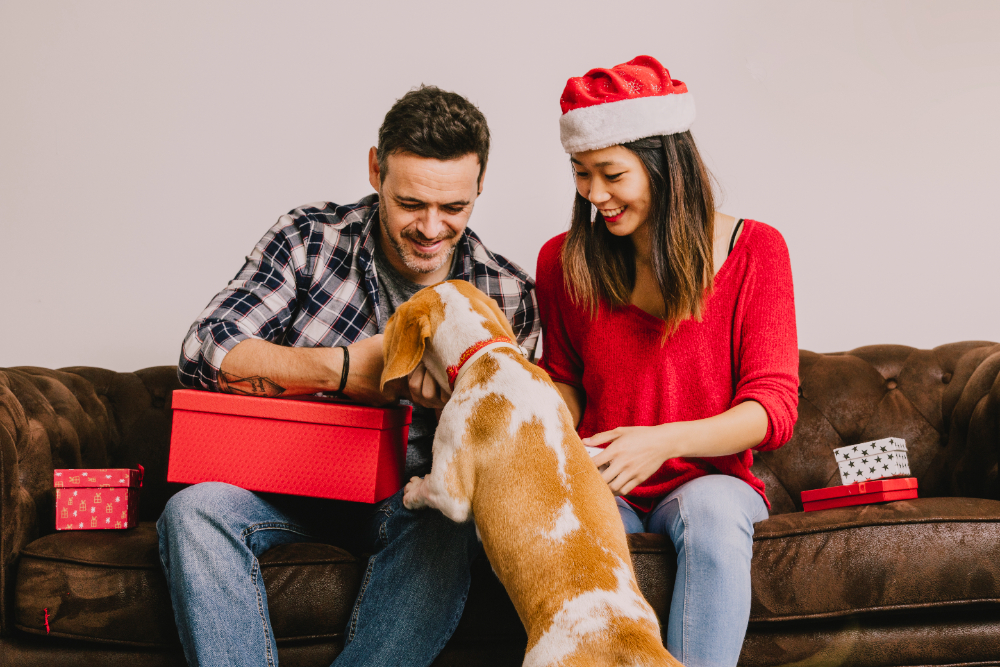 Gift Ideas for Pet Owners