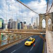 New York Speeding Ticket